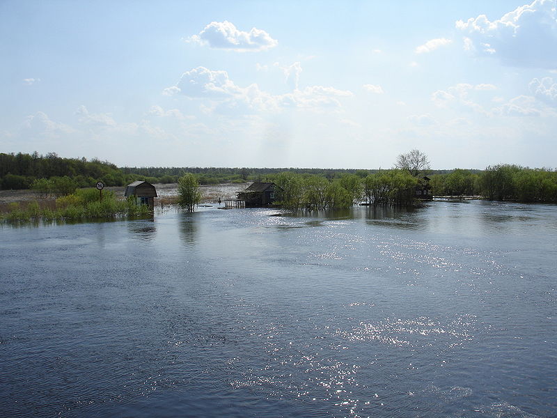Файл:Ru ust vologda 1 10.JPG