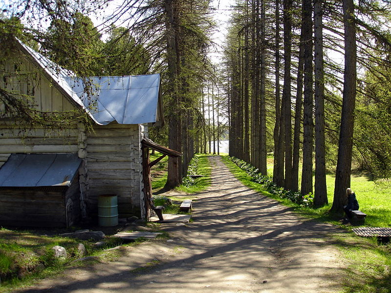 Файл:Ru solovki botanic garden allea 08.JPG