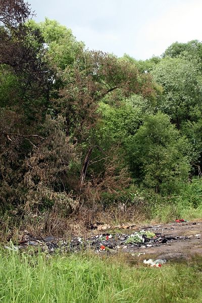 Файл:Ru puschino air crash 08.JPG