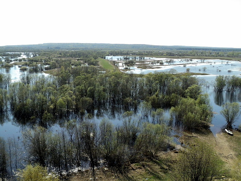Файл:Ru yarensk kizmola stary gorodok 12.JPG