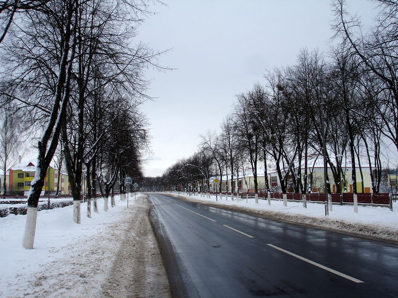 Файл:By puszcza kamenuki street 10.JPG