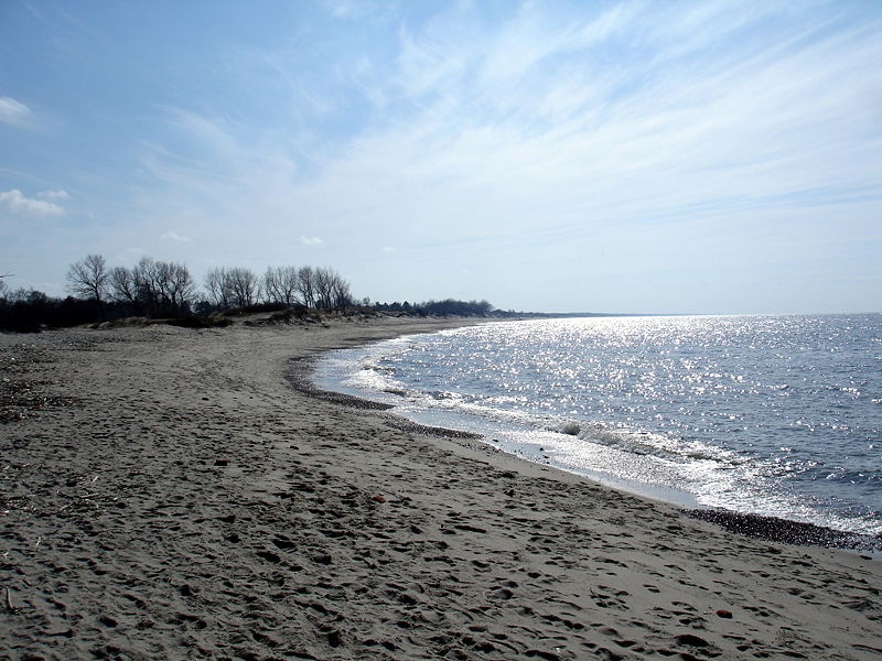 Файл:Ru baltiysk kosa beach 08.jpg