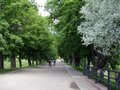 By nesviz park avenu 06.jpg