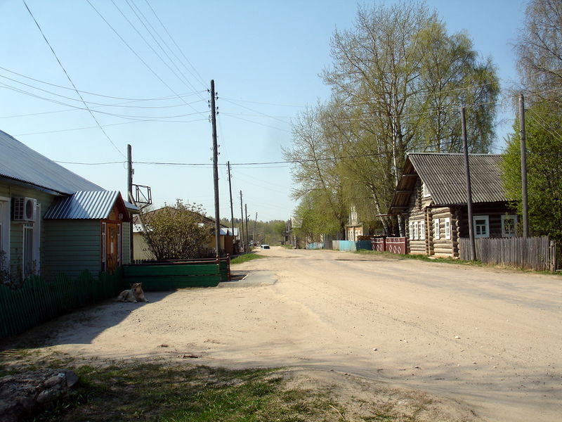 Файл:Ru nuksenica pervomajskaja street 10.JPG