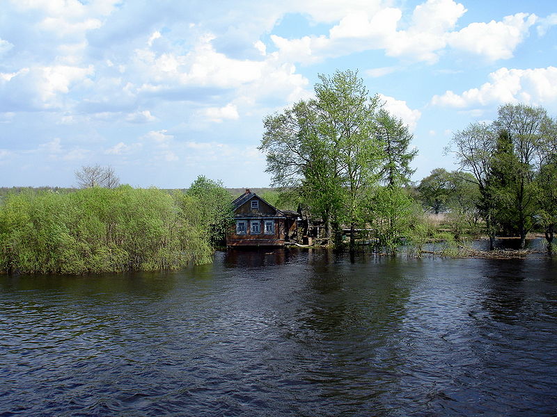 Файл:Ru ust vologda 4 10.JPG
