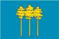 Ru dimitrovgrad flag.png