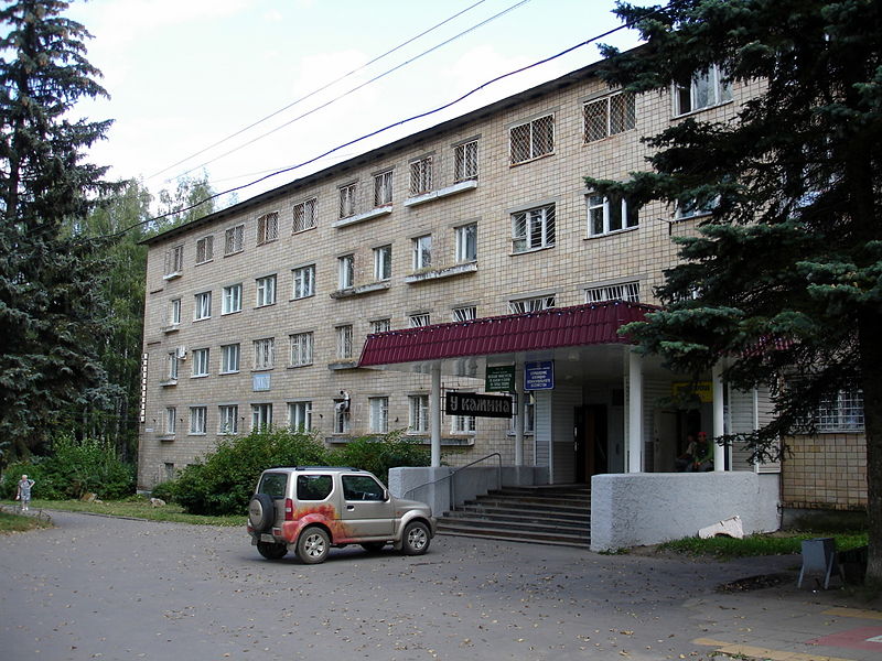 Файл:Ru puschino kafe u kamina 08.jpg