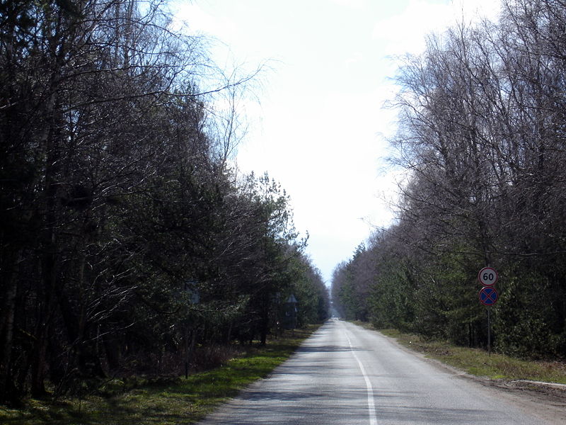 Файл:Ru kaliningrad region kursskaja kosa road 08.jpg