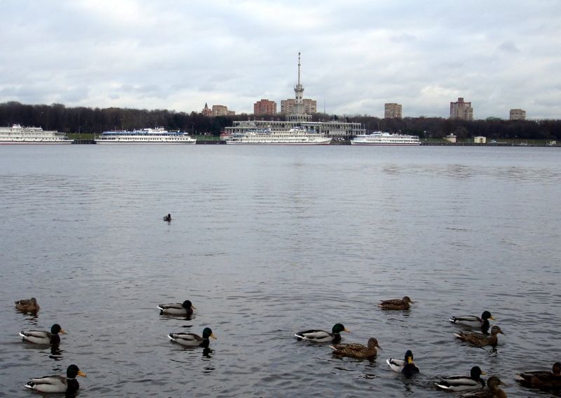 Файл:Ru moscow north river station 06.jpg