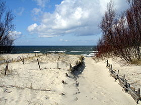 Ru kaliningrad region kursskaja kosa duna baltik sea 08.jpg
