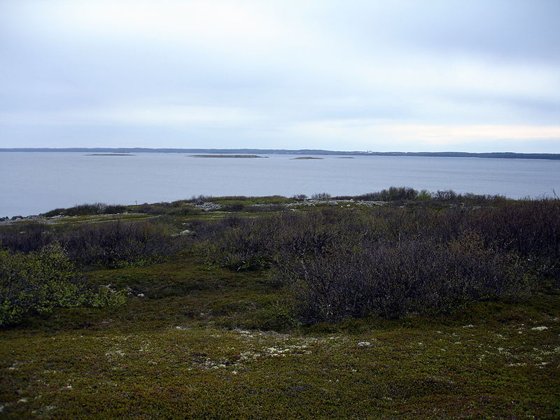 Файл:Ru solovki b zajacky island view b solovecky 08.JPG