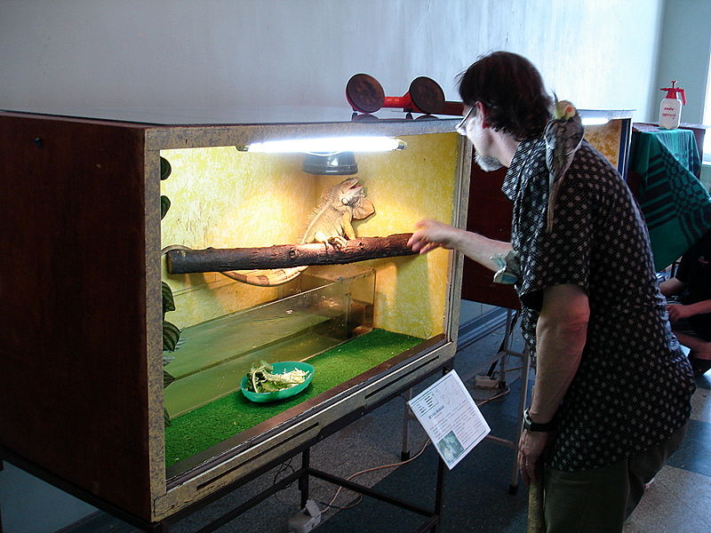 Файл:Ru kostroma museum prirody vistavka 1 08.jpg