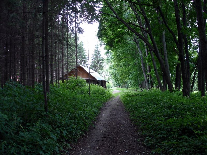 Файл:Ru yasnaya polyana allea 06.jpg