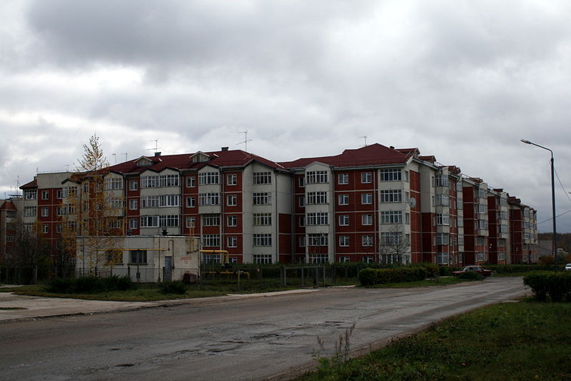 Файл:Ru malojaroslavec maklino home 08.jpg