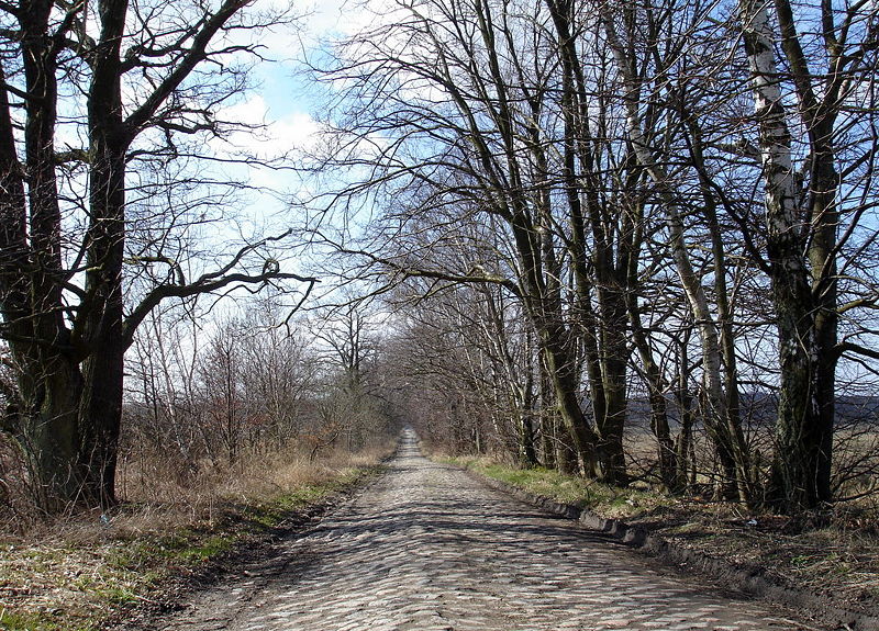 Файл:Ru kaliningrad region tipical villadge road 08.jpg