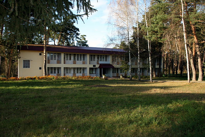 Файл:Ru kaluga reg aleksin bor hotel oka 08.jpg