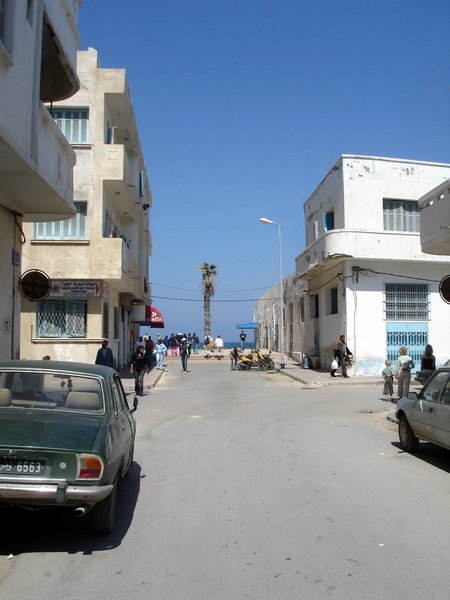 Файл:Tn sus street palm 06.JPG