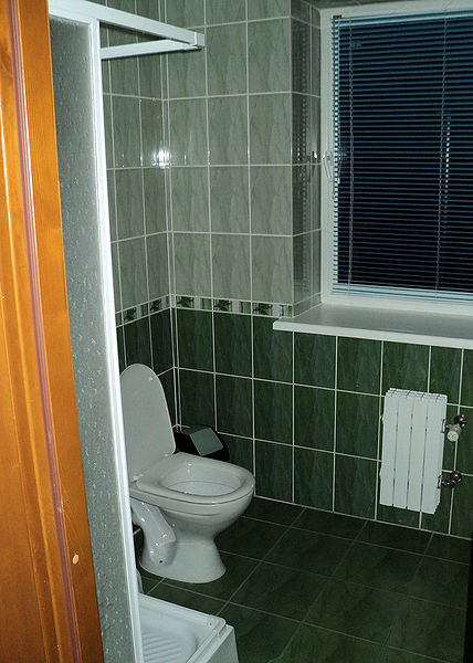 Файл:By kobrin hotel belarus wc 11.JPG
