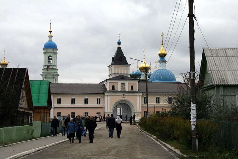 Файл:Ru kaluga region optina sv vrata road 08.jpg