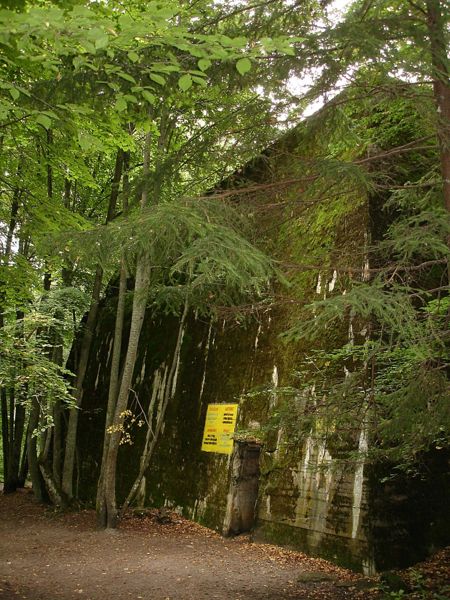 Файл:Pl wolfsschanze bunker bormana 09.jpg