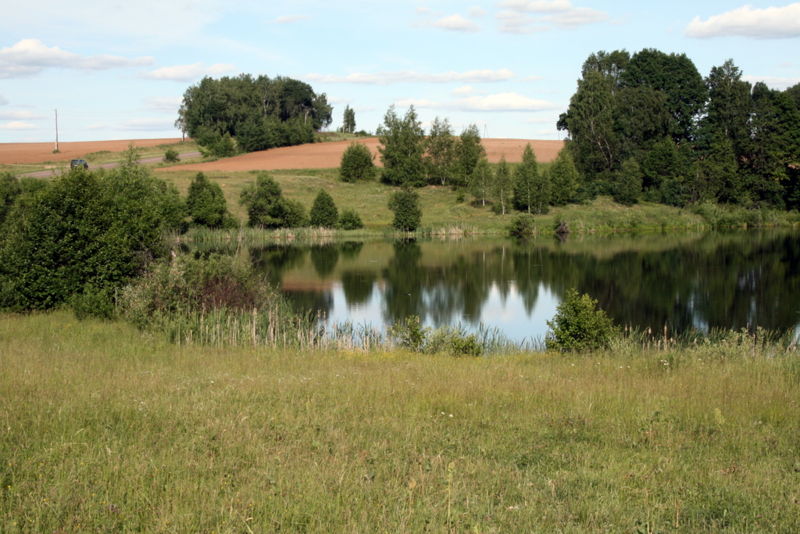 Файл:Ru zaraisk darovoe lake 07.jpg
