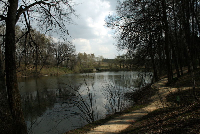 Файл:Ru orel region spasskoe lutovinovo plotina 08.jpg