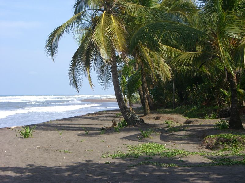 Файл:The beach at Tortuguero Costa Rica.jpg