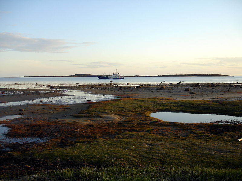 Файл:Ru solovki otliv boat 08.JPG