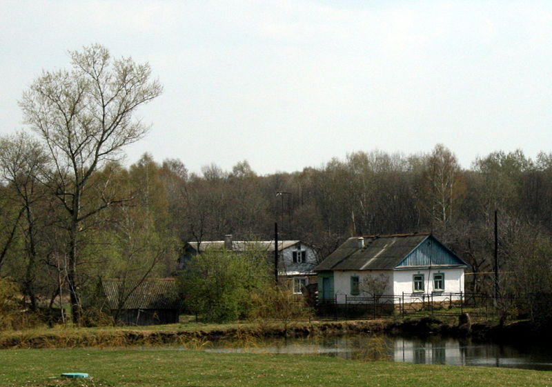 Файл:Ru orel region spasskoe lutovinovo selo 08.jpg