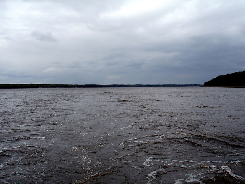 Файл:Ru s dvina 1 holmogorsky region 08.JPG