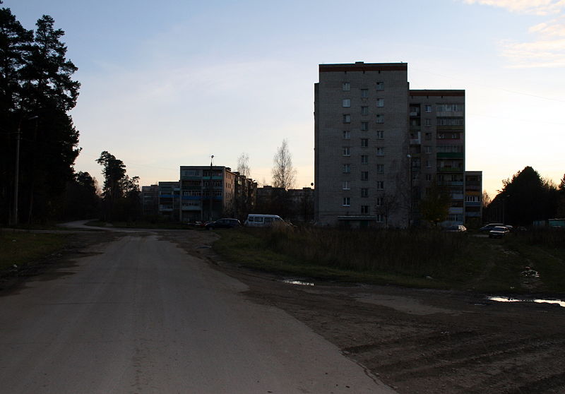Файл:Ru kaluga reg aleksin bor home 08.jpg