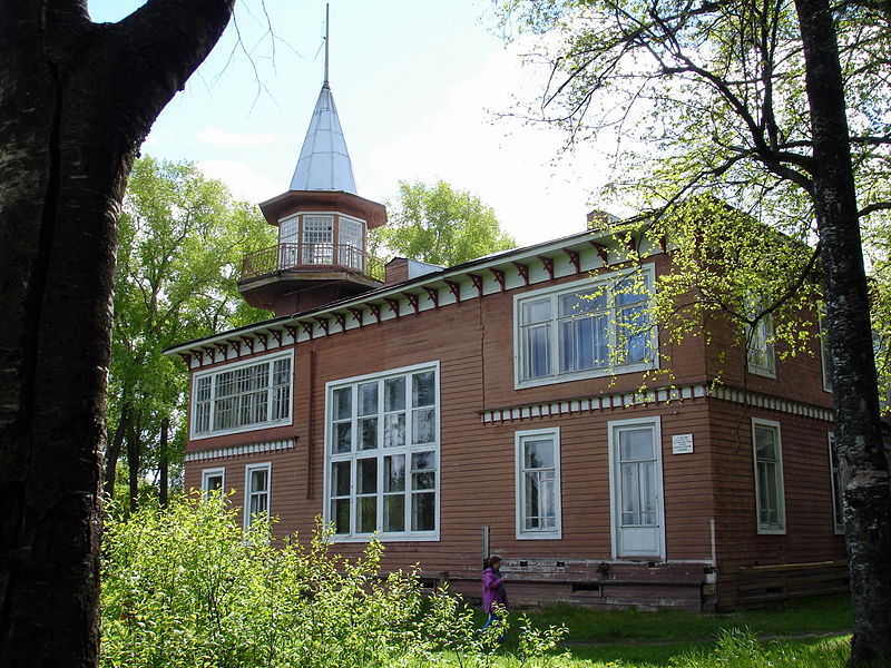 Файл:Ru krasnoborsk borisov home 08.JPG