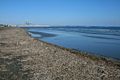 CY Larnaka Sea Shore 09.jpg