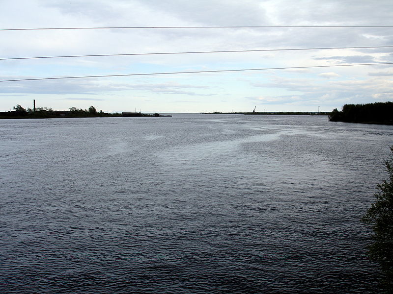 Файл:Ru belomorsk vyg vpadaet beloe sea 08.JPG