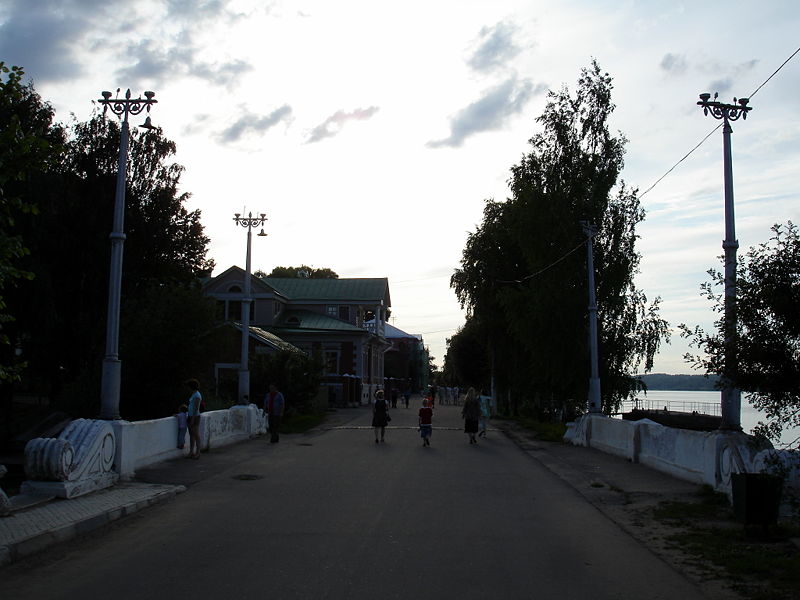 Файл:Ru ples luna4arskogo street nizny shohonsky bridge 08.jpg