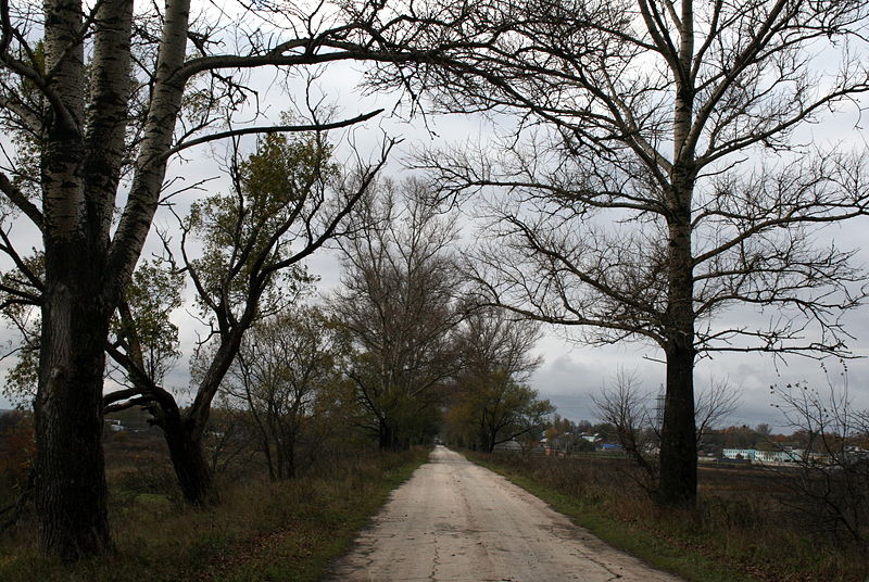 Файл:Ru kaluga region peremyshl old road kaluga 08.jpg