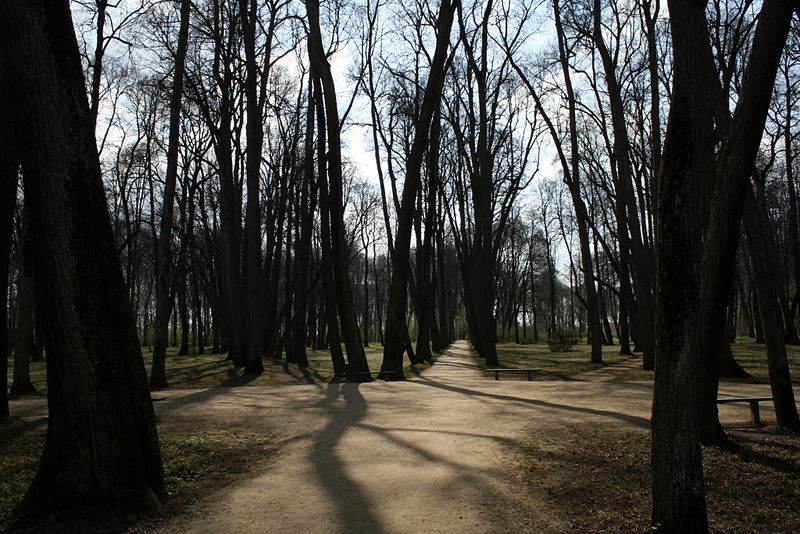 Файл:Ru orel region spasskoe lutovinovo allei 08.jpg