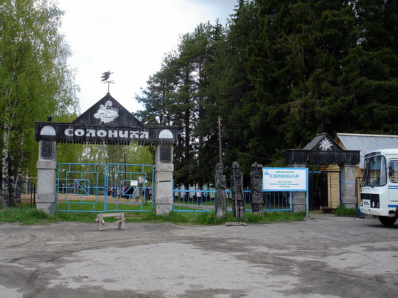 Файл:Ru krasnoborsk soloniha enter 08.JPG