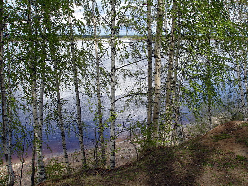 Файл:Ru krasnoborsk nabereznaja lenina 08.JPG
