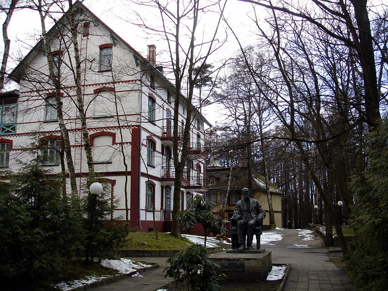Файл:Ru svetlogorsk san svetl pavlov monument 08.jpg