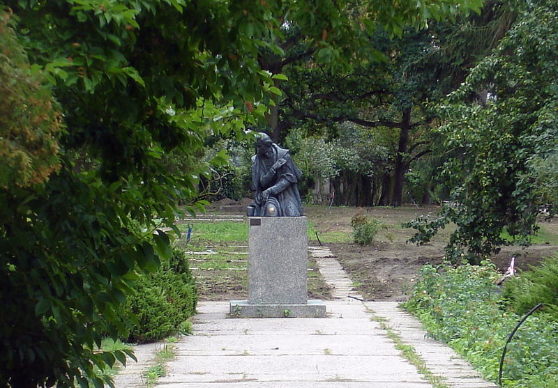 Файл:Pl zelazova vola pamjatnik sopin 09.jpg