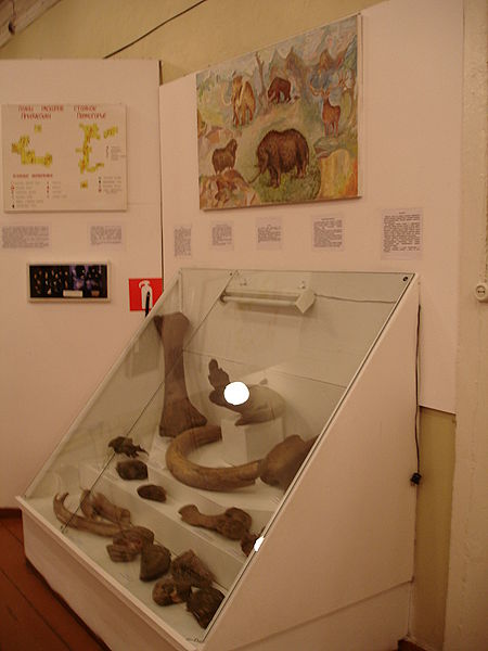 Файл:Ru krasnoborsk museum bivny mamonta 08.JPG
