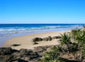AU Fraser Island indian head.jpg