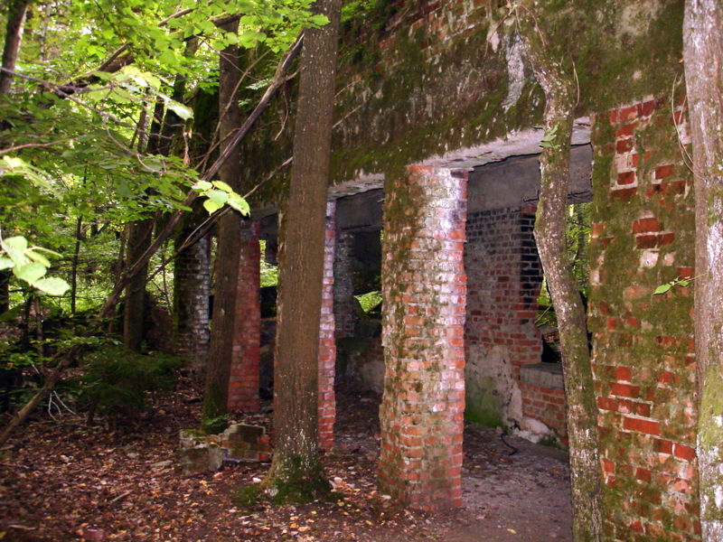 Файл:Pl wolfsschanze kvartira geringa terrasa 09.jpg