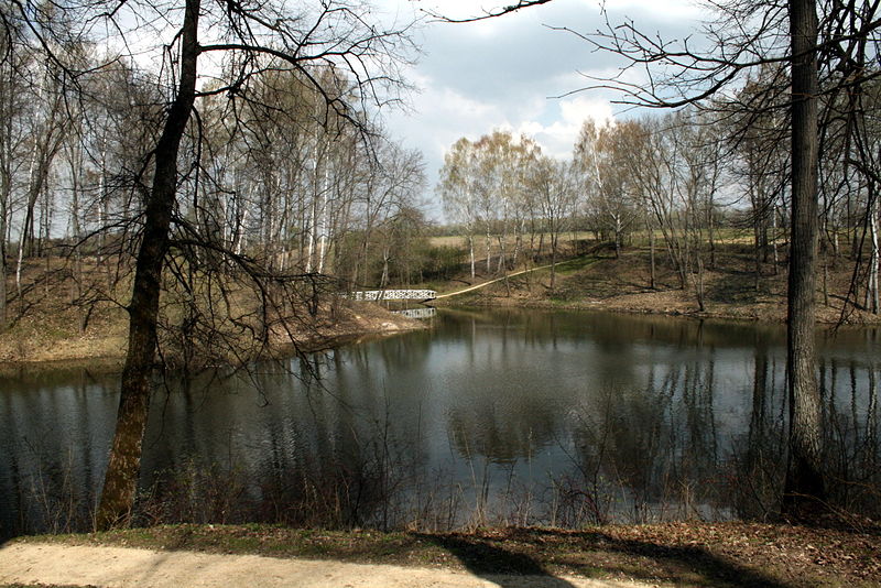 Файл:Ru orel region spasskoe lutovinovo bolshoj prud 08.jpg
