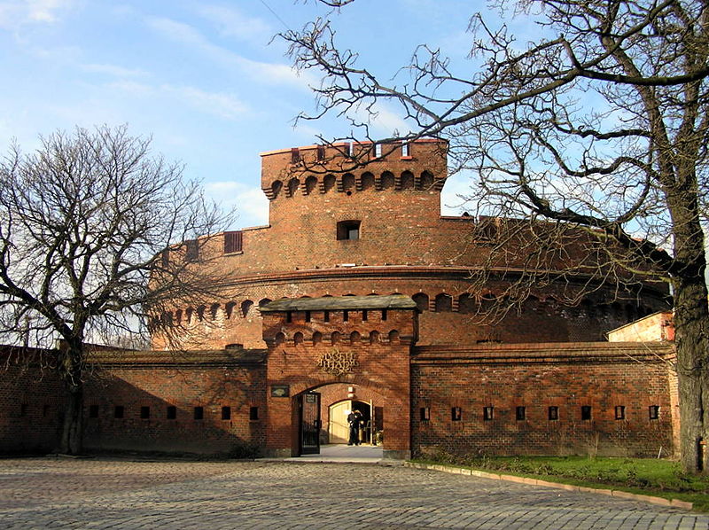 Файл:Ru kaliningrad amber museum 08.jpg