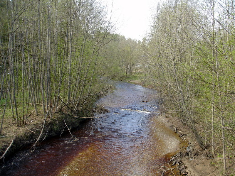 Файл:Ru nuksenica river 1 10.JPG