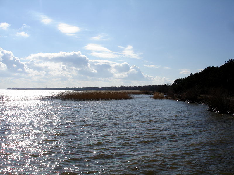 Файл:Ru kaliningrad region kursskaja kosa zaliv bereg 08.jpg