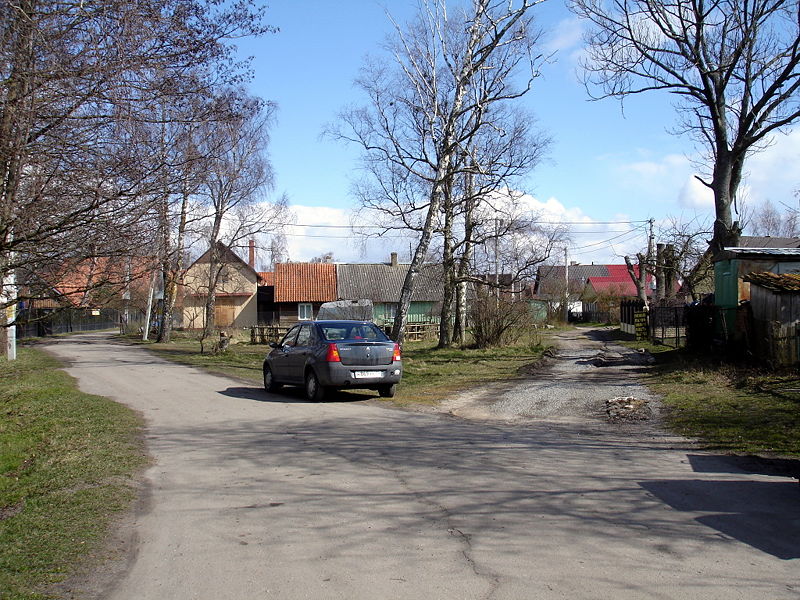 Файл:Ru kaliningrad region kursskaja kosa morskoe 08.jpg