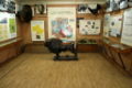 Ru priokskij reserve museum subr 07.jpg